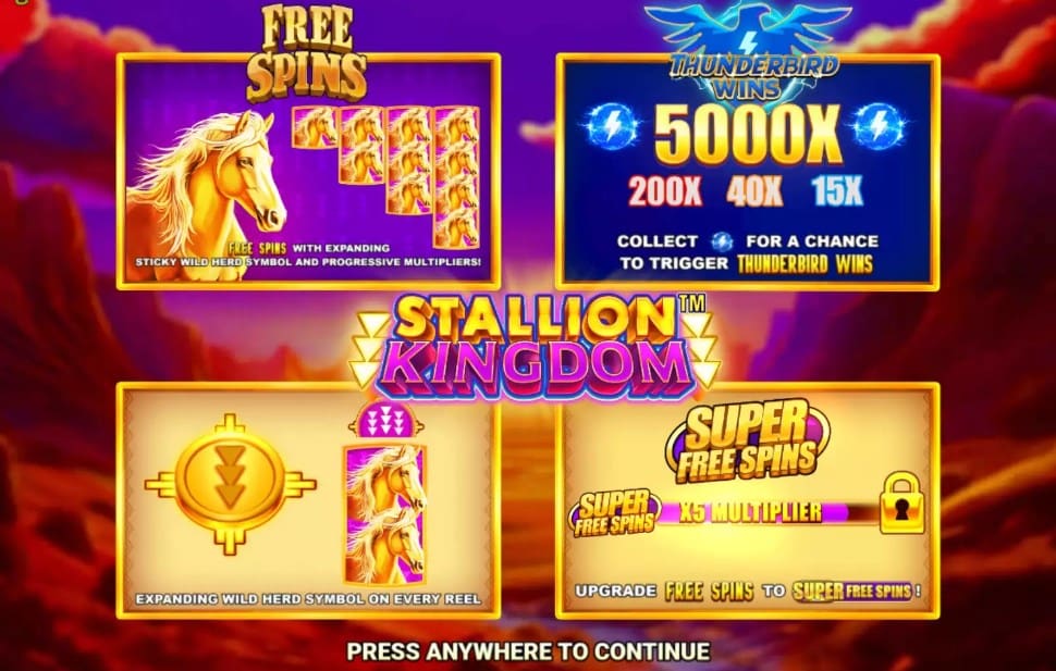 Stallion Kingdom