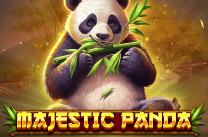 Majestic Panda